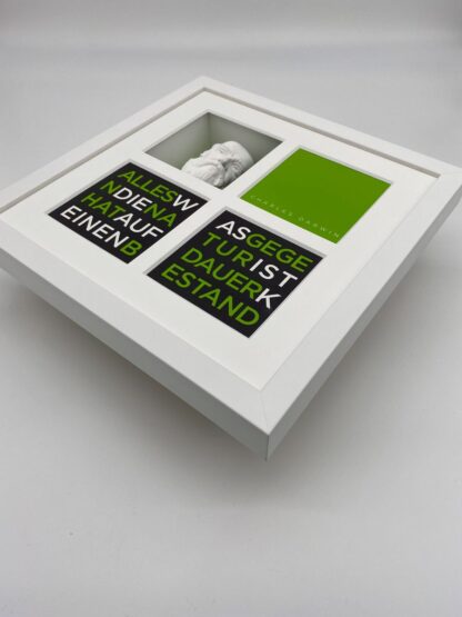 Ralf Birkelbach | Wortkunst | Charles Darwin – Bild 5