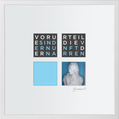 Ralf Birkelbach | Wortkunst | Voltaire – Bild 3