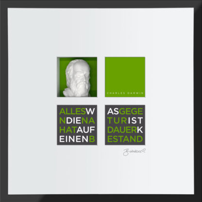 Ralf Birkelbach | Wortkunst | Charles Darwin – Bild 4