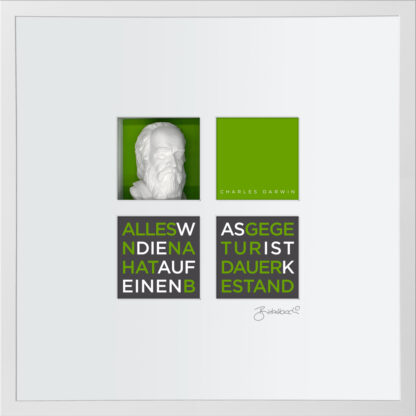 Ralf Birkelbach | Wortkunst | Charles Darwin – Bild 3