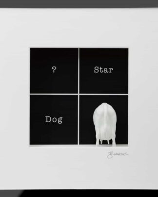 birkelbach-wortkunst3-objektbild-cash-cow-rahmen-schwarz