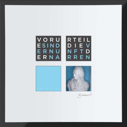 birkelbach-wortkunst3-zitatequadrate-bild-voltaire-rahmen-schwarz-55-x-55-cm