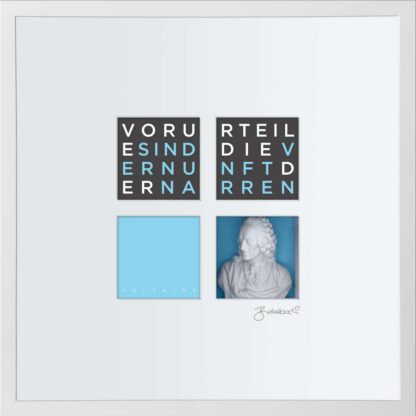 birkelbach-wortkunst3-zitatequadrate-bild-voltaire-rahmen-weiss-55-x-55-cm