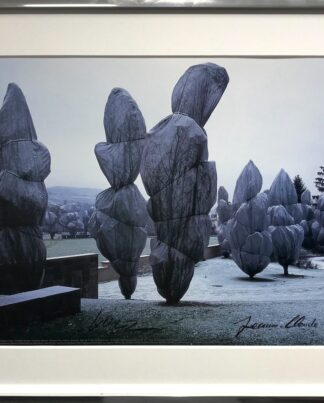 Christo Wrapped Trees 10