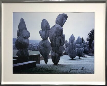 Christo Wrapped Trees 10