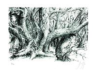 Günter Grass Doppelt im Wald