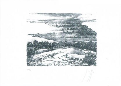 Günter Grass Auf Hiddensee