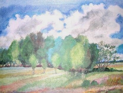 Günter Grass Landschaft mit Birken