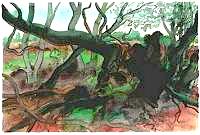 Günter Grass Waldlandschaft auf Moen