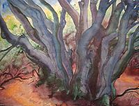 Günter Grass Waldlandschaft III