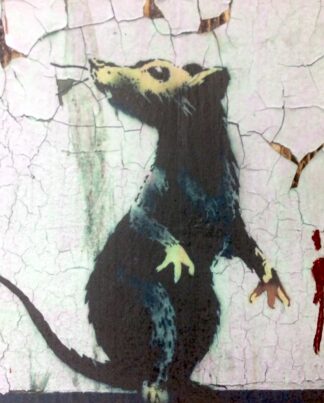 jane-framer-joker-kunstblock-galerie-hunold