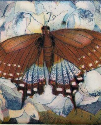 Jutta Votteler | Schmetterlingsparadies