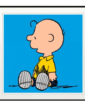 Peanuts Charlie Brown Blue