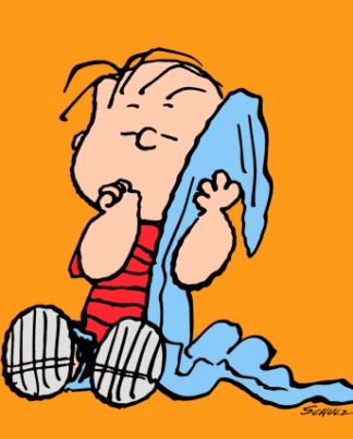 Peanuts Linus Orange Leinwand