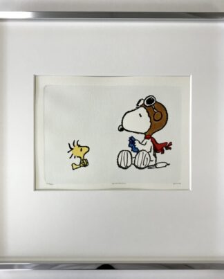 Peanuts Fly with me