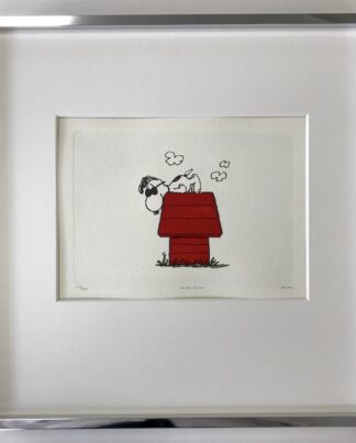 Peanuts Summmer days