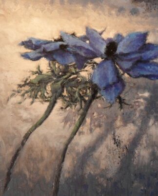 Peter Wever | 2 Anemonen