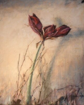 Peter Wever | Amaryllis (Gemälde)