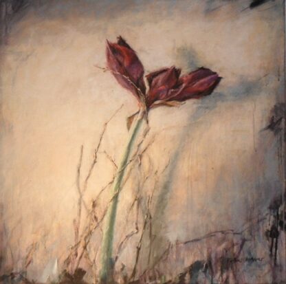 Peter Wever | Amaryllis (Gemälde)