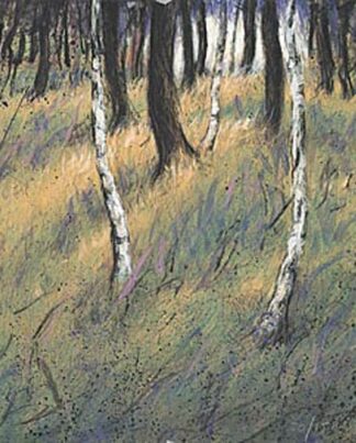 Peter Wever | Birken