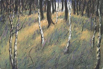 Peter Wever | Birken