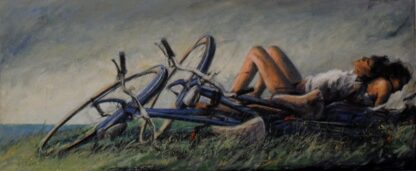Peter Wever | Fahrräder im Gras