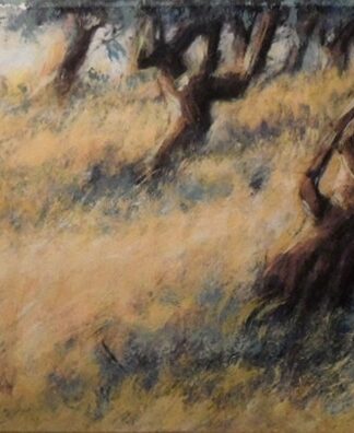 Peter Wever | Olivenhain