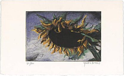 Peter Wever | Sonnenblume