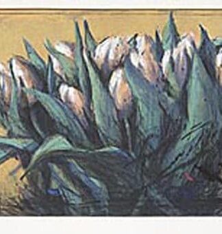 Peter Wever | Tulpen XXL