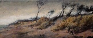 Peter Wever | Weststrand
