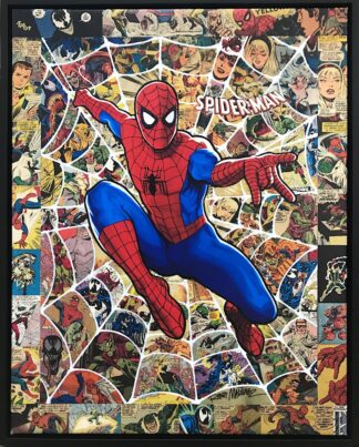 Randy Martinez Spiderman