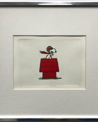 Snoopy Up in the air