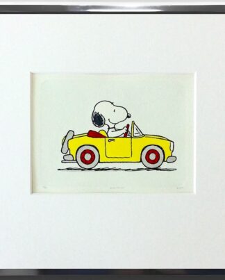 Peanuts Cruising