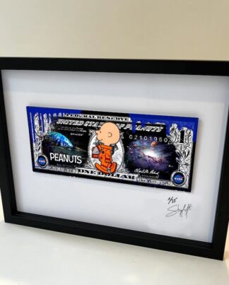 Skyyloft Charlie Brown Space Dollar