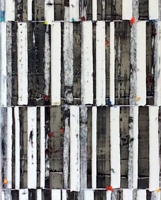 Petra Röß-Nickel Code White